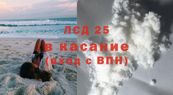 спайс Корсаков