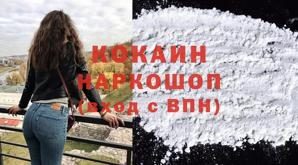 спайс Корсаков