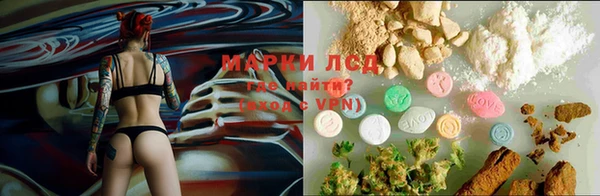 спайс Корсаков